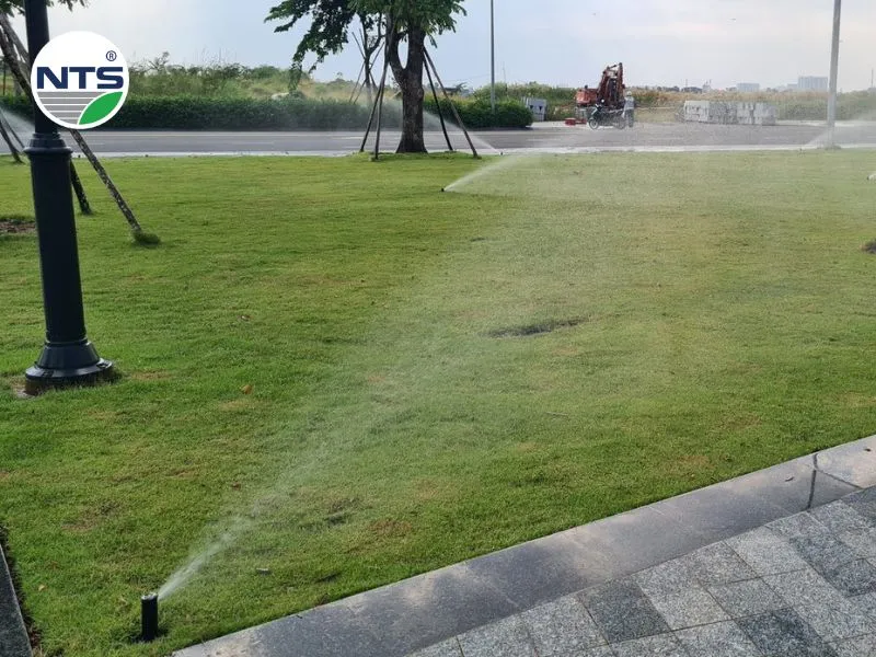 Hình ảnh sau khi Vạn Phúc lắp đặt hệ thống tưới được cung cấp thiết bị tưới tự động Vạn Phúc City từ NTS và hệ thống đi vào vận hành