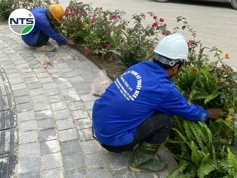 Hệ thống tưới cây tự động tại Eco Park