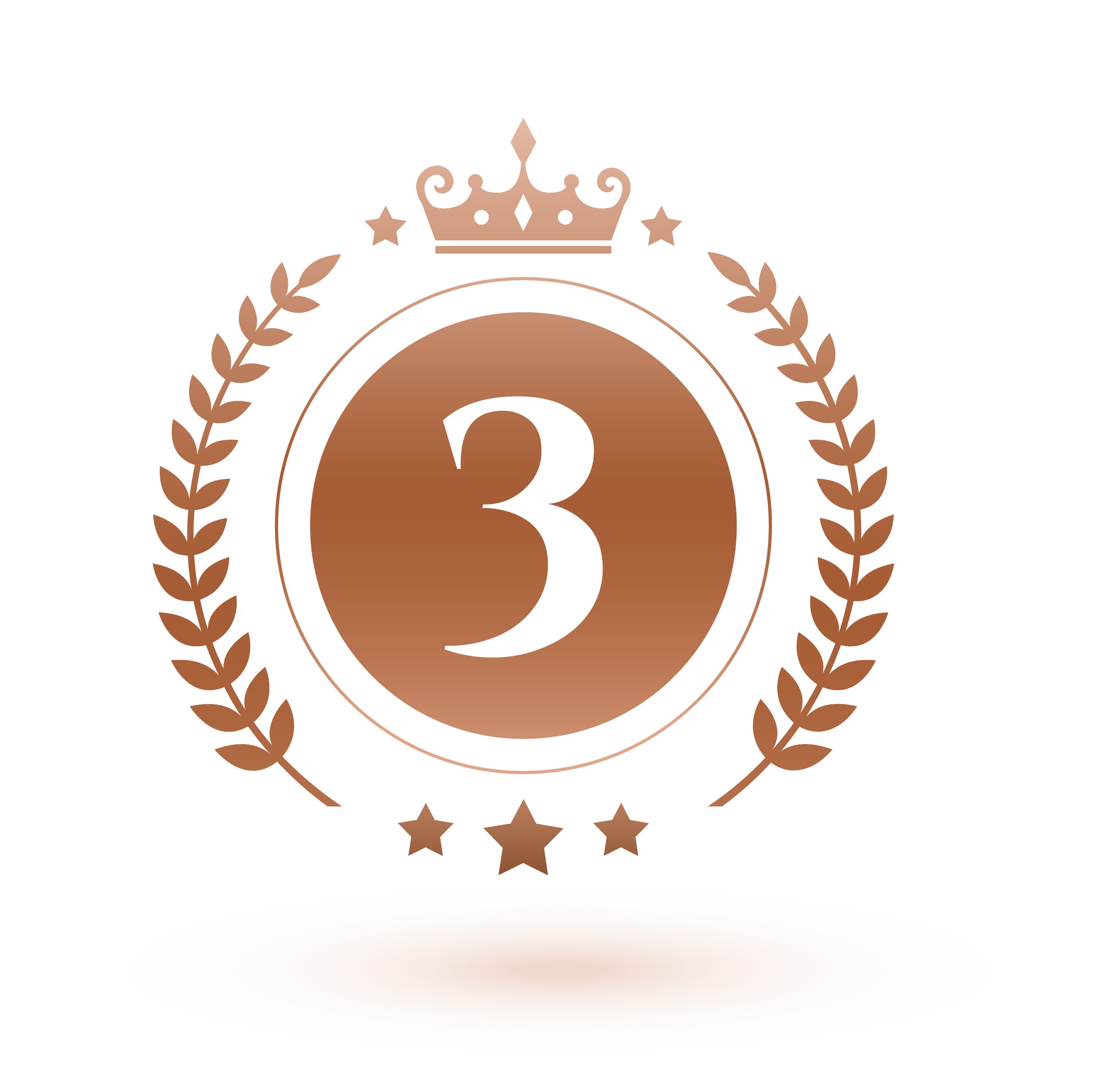 NTS đạt hạng 3 thi công xây dựng