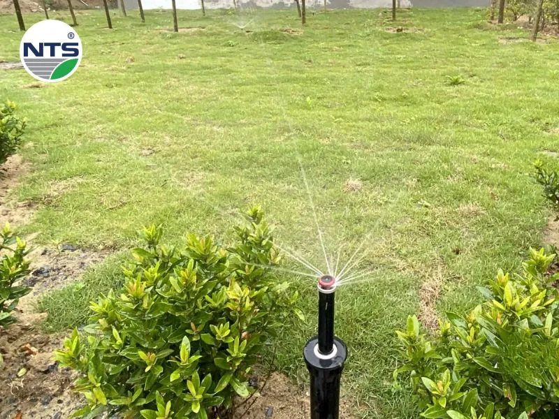 Hệ thống tưới cây tự động tại Eco Park