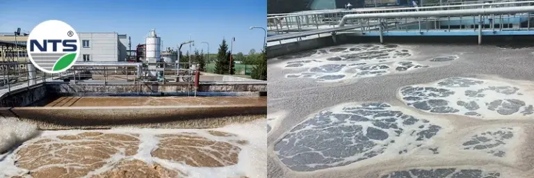 Trường hợp bể hiếu khí nổi bọt trắng và cách khắc phụt ngay lập tức