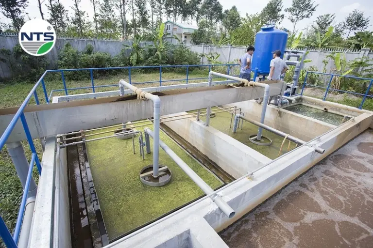 Bể xử lý nước thải sinh hoạt hiện nay