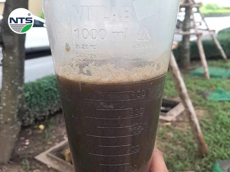 Bùn vi sinh non