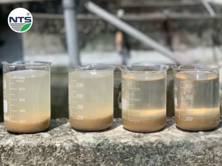 Bùn vi sinh trong hệ thống xử lý nước thải