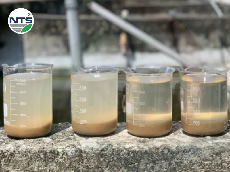 Bùn vi sinh trong hệ thống xử lý nước thải