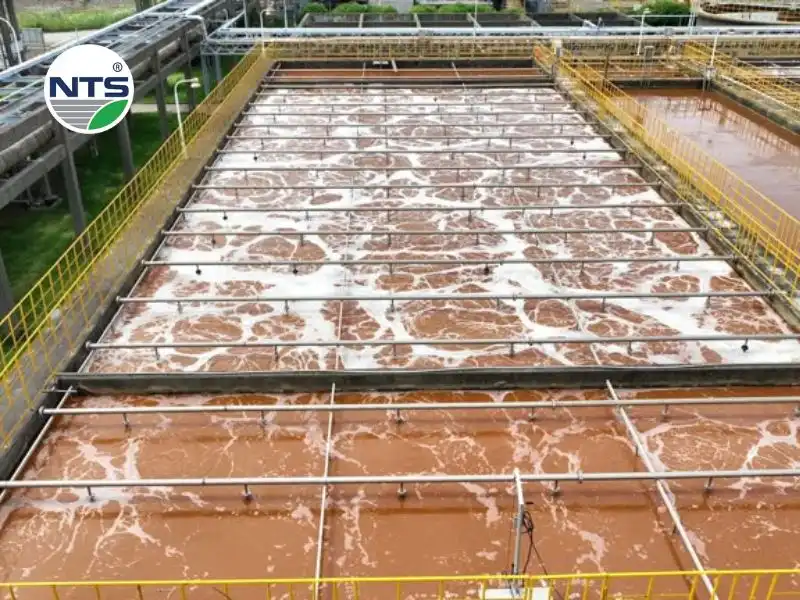 Thực hiện đúng quy trình để đo chỉ số mlss trong nước thải chuẩn xác