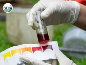 Hình ảnh điều chỉnh độ pH trong nước thải