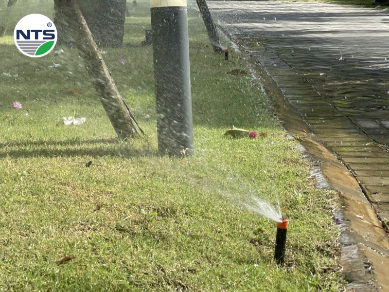 Hệ thống tưới cây tự động phun mưa