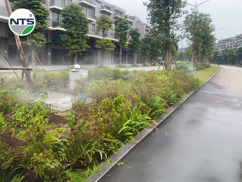 Hệ thống tưới tự động phun sương tại dự án của NTS