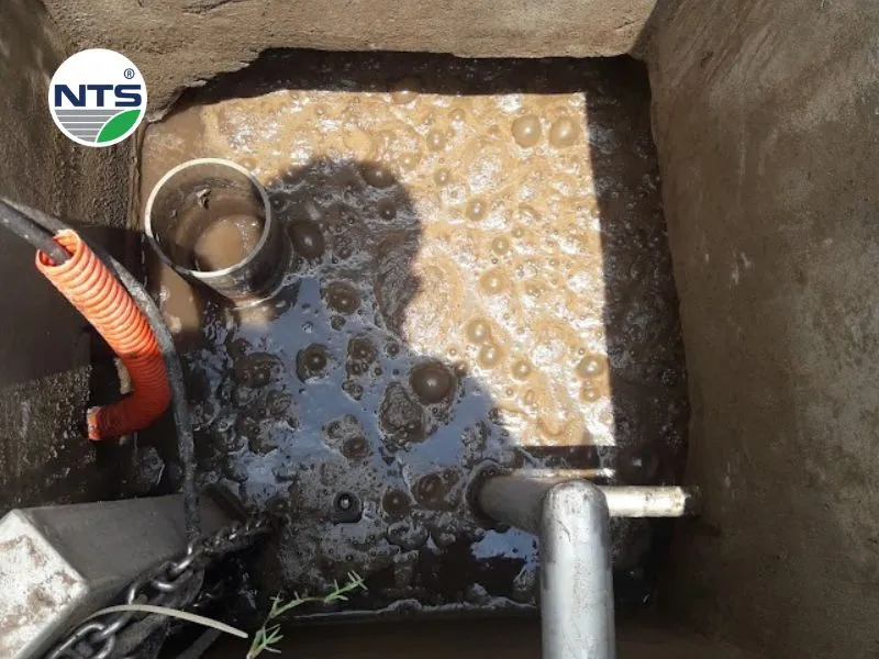 Hình ảnh chụp được tại bể anoxic khi bùn nổi dày đặc