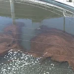 Hệ thống xử lý nước thải có mùi hôi