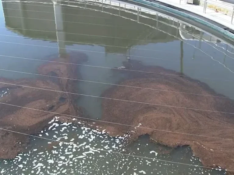 Hệ thống xử lý nước thải có mùi hôi