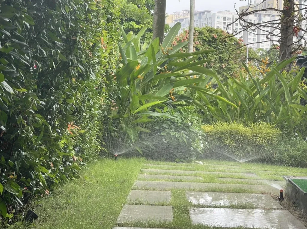 Tái sử dụng nước thải để tưới cây