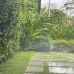 Tái sử dụng nước thải để tưới cây