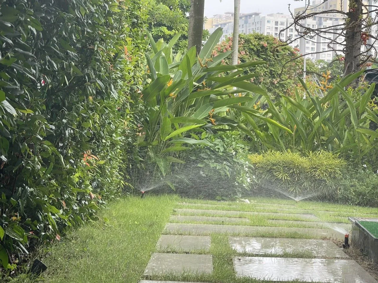 Tái sử dụng nước thải để tưới cây