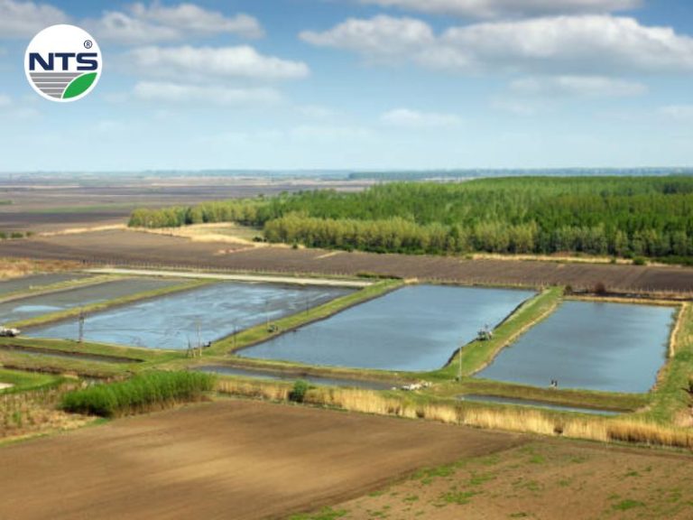 Thumnail hình ảnh hệ thống xử lý nước thải bằng hò sinh học với diện tích lớn