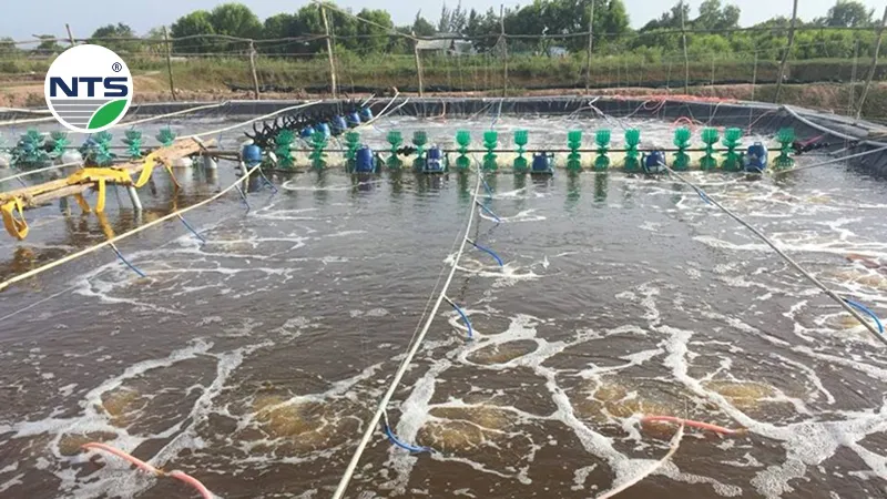 Nước thải được xử lý tốt góp phần nâng cao năng suất thu hoạch