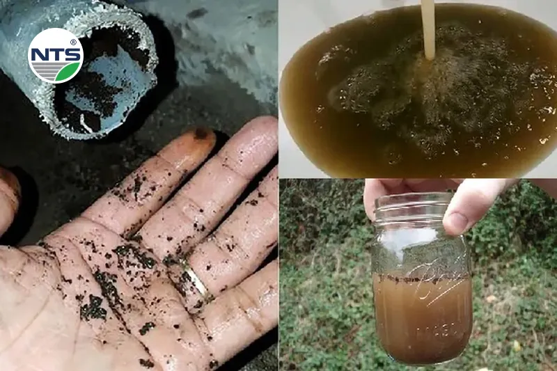 Tìm hiểu về xử lý nước thải sinh hoạt quy mô hộ gia đình