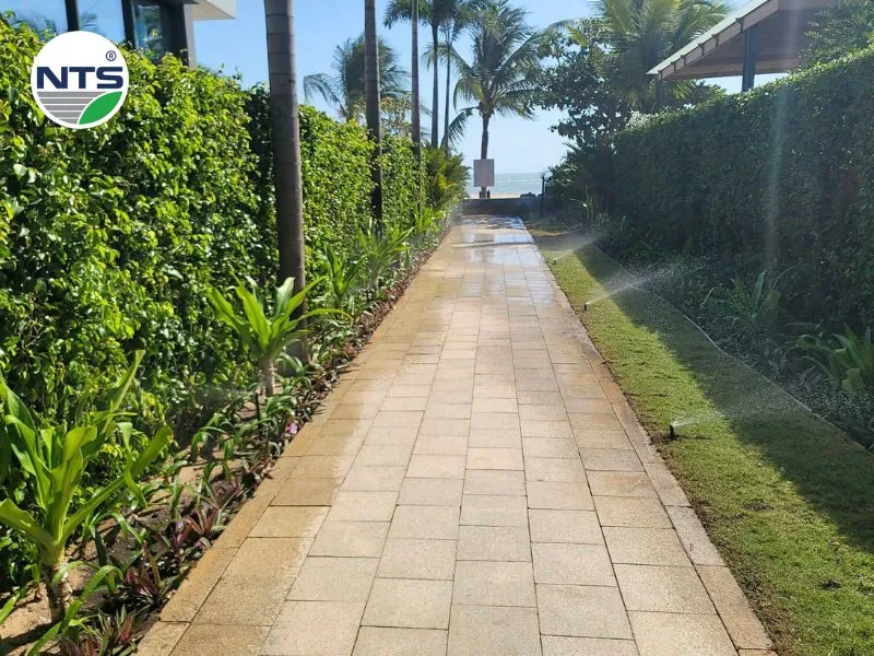 NTS thi công hệ thống tưới tự động Sanctuary Hồ Tràm 