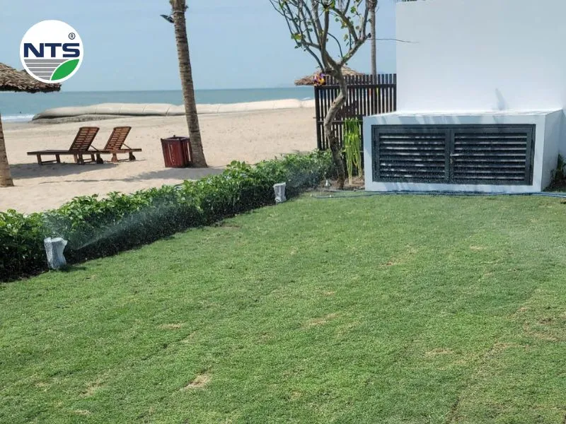 NTS thi công hệ thống tưới tự động Sanctuary Hồ Tràm 