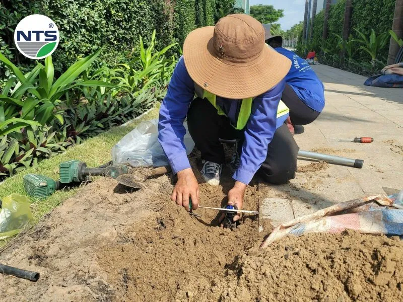 NTS thi công hệ thống tưới tự động Sanctuary Hồ Tràm 