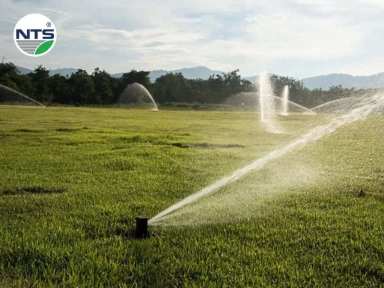 Hình ảnh Thiết bị tưới cảnh quan với các béc phun mưa rotor đang tưới cỏ