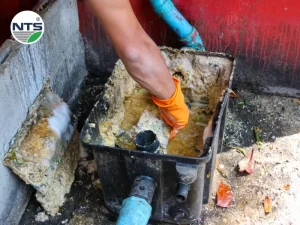 Cach xu ly dau mo trong nuoc thai bang phuong phap hien dai