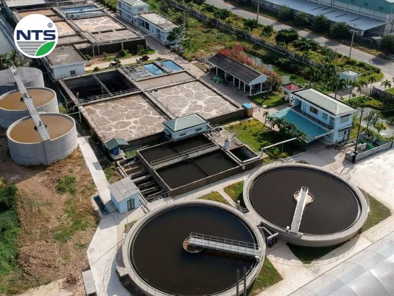 Công nghệ ao ứng dụng trong xử lý nước thải