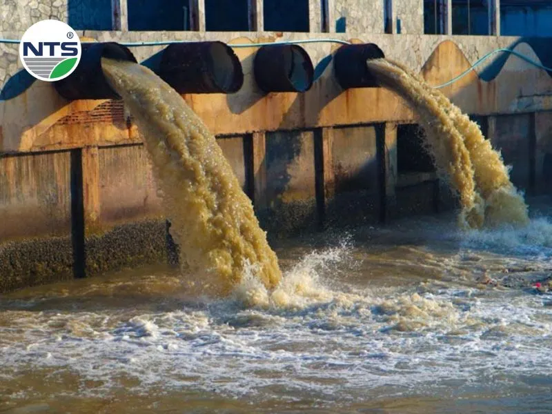 Vi phạm Nghị định 45/2022/nd-cp