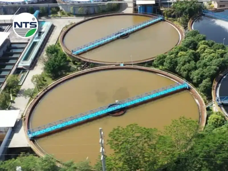 Hình ảnh thumnail ứng dụng chu trình nitơ trong xử lý nước thải