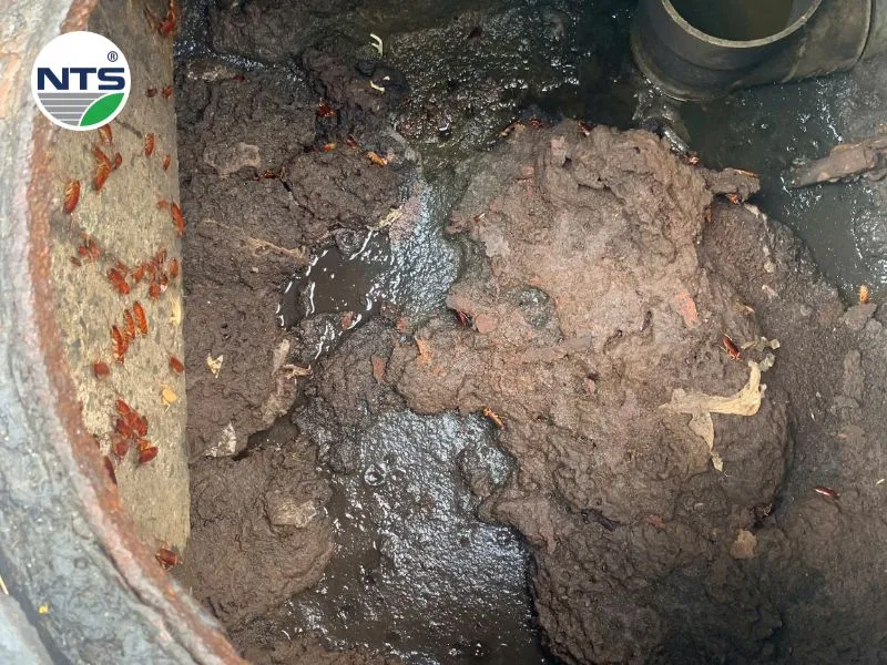 Hệ thống xử lý không bảo trì bảo dưỡng định kỳ gây ra nhiều nguyên nhân mùi hôi từ hệ thống xử lý nước thải