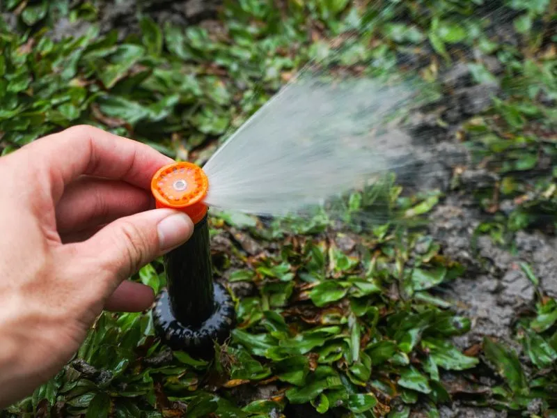 Vật tư tưới cây tự động