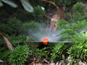 Tưới cây tự động tia phun cho hệ thống cảnh quan