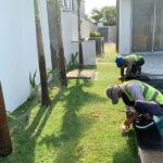 Tổng hợp và phân loại hệ thống tưới tự động mới nhất