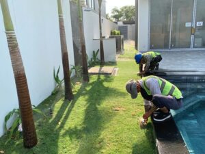 Tổng hợp và phân loại hệ thống tưới tự động mới nhất