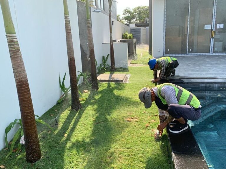 Tổng hợp và phân loại hệ thống tưới tự động mới nhất