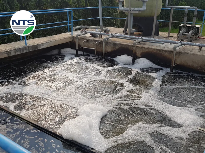 Các tiêu chí để đánh giá sơ bộ một hệ thống XLNT đạt chuẩn