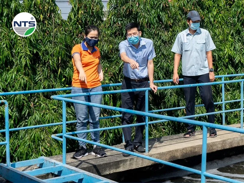 NTS Engineering cung cấp các giải pháp hỗ trợ quý khách hàng