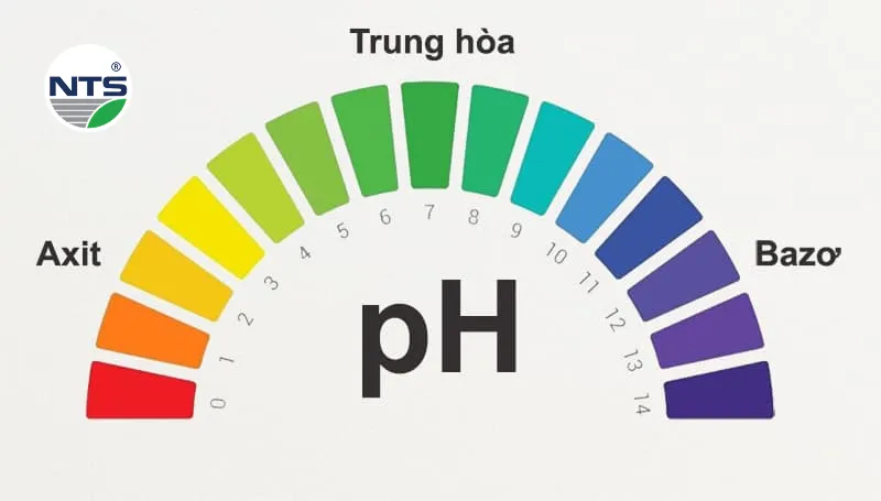 Tìm hiểu pH trong nước thải là gì? Tìm hiểu pH trong nước thải là gì?