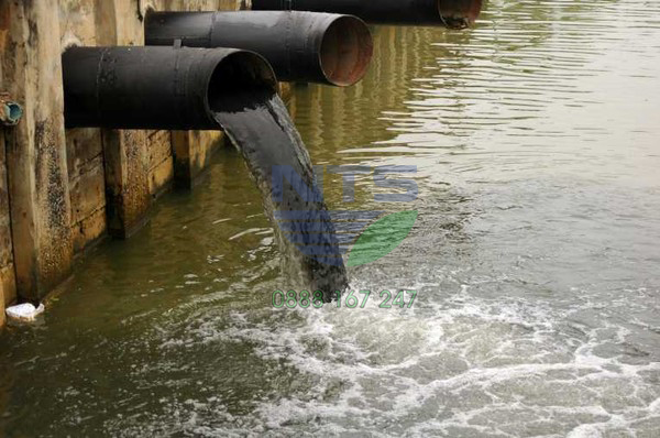 Nước thải công nghiệp đưa vào môi trường.